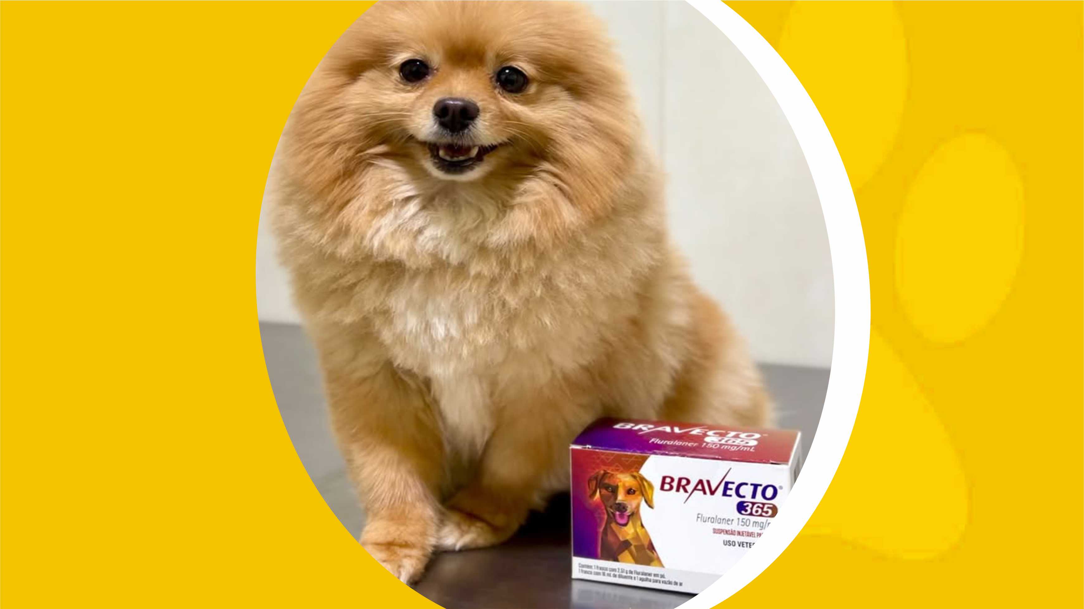 Farmácia Veterinária Newpet